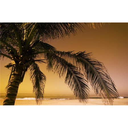 Posterazzi DPI1824035LARGE Palm Tree & Sunset in Mexico Poster Print by Darren Greenwood, 38 x 24 - Large