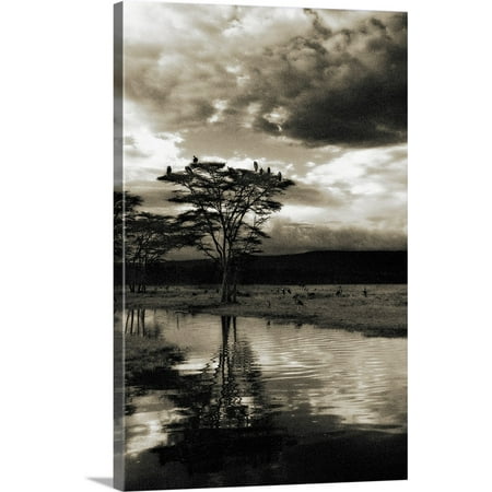 Great BIG Canvas | "African Sunset" Canvas Wall Art