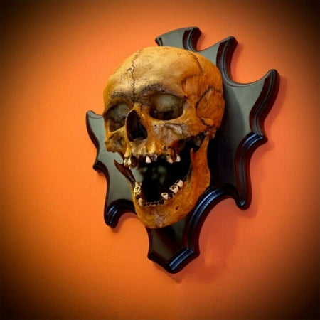 YFKFYTG Clearance Sales Today Deals Prime Party Supplies Halloween Home Walls Fine Horror Skeleton Night Light Wall Decorations
YFKFYTG Clearance Sales Today Deals Prime Party Supplies Halloween Home Walls Fine Horror Skeleton Night Light Wall Decorations