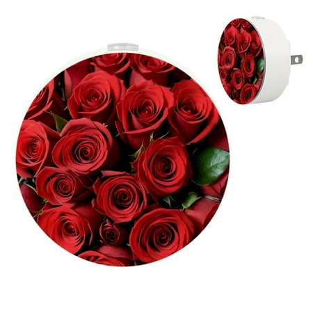 YZUOUZY Bedside Lamps Nightlight Bedside Lamps Set of 2 Red Roses Bouquet Flowers
YZUOUZY Bedside Lamps Nightlight Bedside Lamps Set of 2 Red Roses Bouquet Flowers