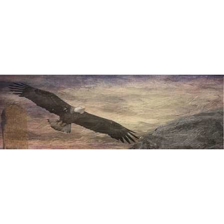 Free Spirit 2 Poster Print by Sheldon Lewis (8 x 24)