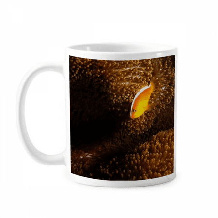 Ocean Anemone Fish Science Nature Mug Pottery Cerac Coffee Porcelain Cup Tableware
Ocean Anemone Fish Science Nature Mug Pottery Cerac Coffee Porcelain Cup Tableware