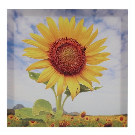 Hemoton 1Pc Decorative Wall Painting Pendant Creative Sunflower Pattern Mural Decor
Hemoton 1Pc Decorative Wall Painting Pendant Creative Sunflower Pattern Mural Decor