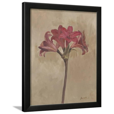 Blooms & Stems III Framed Print Wall Art By Marietta Cohen