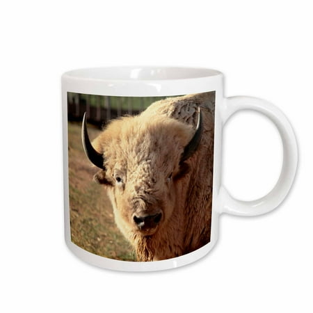 3dRose White buffalo wildlife Santa Fe New Mexico - US32 JMR0089 - Julien McRoberts Ceramic Mug 15-ounce
3dRose White buffalo wildlife Santa Fe New Mexico - US32 JMR0089 - Julien McRoberts Ceramic Mug 15-ounce