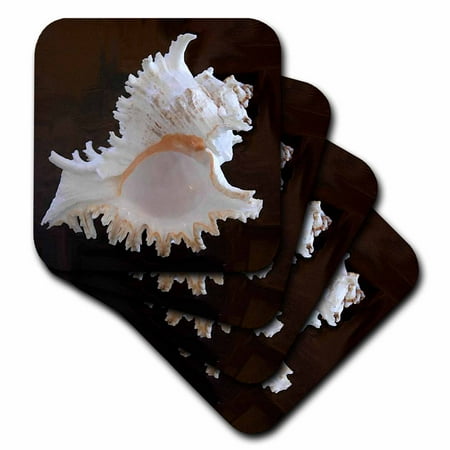 Sea Shell set of 4 Coasters - Soft cst-4384-1