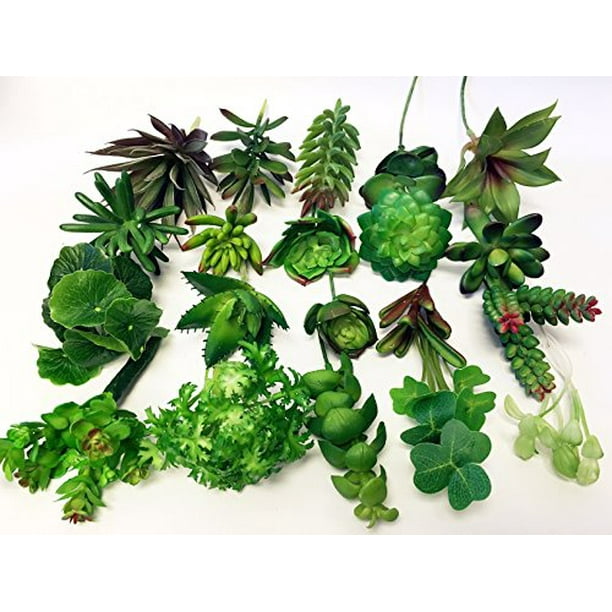 Mixed Lot of Long Large stems of Artificial Succulents - 20 stems (4.5-6"/stem)-Perfect for all DIY arrangements