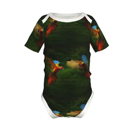 Lukts Hybrid Parrot in the Forest Print Baby Short Sleeve Romper Onesie for Newborn Baby Boys and Girls-18 Months
Lukts Hybrid Parrot in the Forest Print Baby Short Sleeve Romper Onesie for Newborn Baby Boys and Girls-18 Months