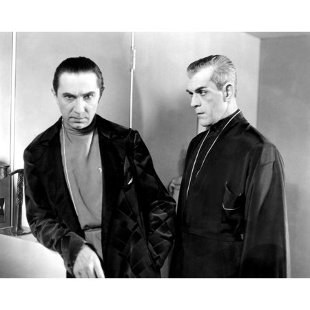 The Black Cat Bela Lugosi Boris Karloff 1934 Photo Print