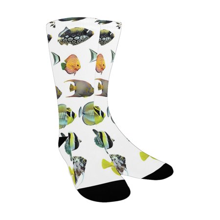 Ocean Animal Decor Fish Figures Emperor Angelfish Tang Discus Cornfish Underwater Types Pattern Mult Custom Socks for Women 
Ocean Animal Decor Fish Figures Emperor Angelfish Tang Discus Cornfish Underwater Types Pattern Mult Custom Socks for Women