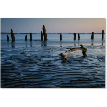 Trademark Fine Art 'Driftwood And Sandbars' Canvas Art by PIPA Fine Art