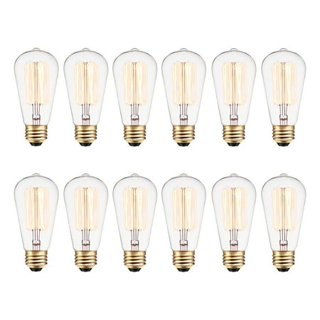 Globe Electric 40W Vintage Edison S60 Squirrel Cage Incandescent Filament Light Bulb (12-Pack), 313242