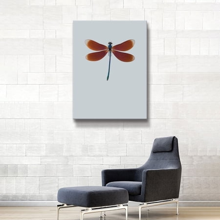 ArtWall 'Dragonfly II' Gallery Wrapped Canvas