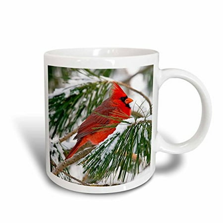 3dRose Red and black cardinal perched in snowy pine tree Ceramic Mug 15-ounce
3dRose Red and black cardinal perched in snowy pine tree Ceramic Mug 15-ounce