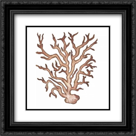 Coastal Icon Coral III 2x Matted 20x20 Black Ornate Framed Art Print by Medley, Elizabeth