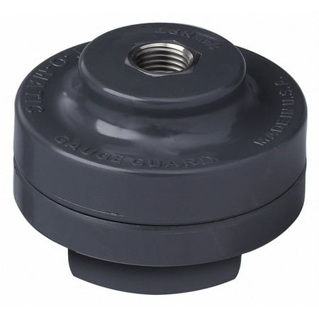 Plast-O-Matic Gauge Guard For 1/2 in FNPT PTFE Dia GGTS1-PV