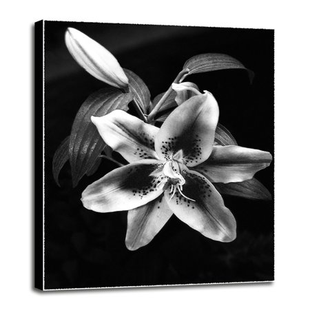 Flower And Leaves-HARFLO50378 Print 14"x11.25" by Harold Silverman - Flowers in a Canvas Stretched in Maple Frame
