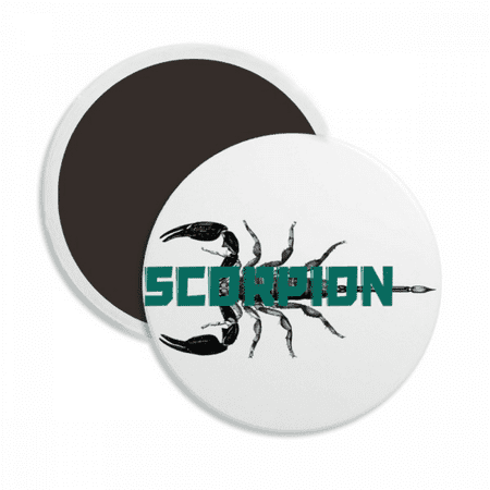 Scorpion Natural Insect Symmetry Round Ceracs Fridge Magnet Keepsake Decoration