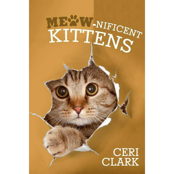 Meow-Nificent Kittens
