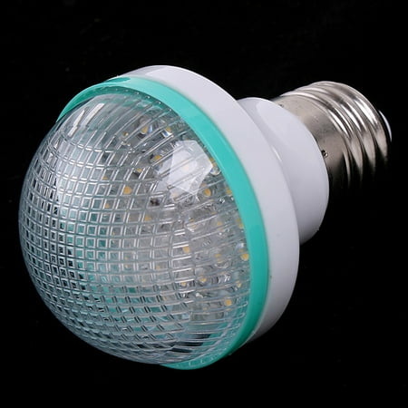 Bulb