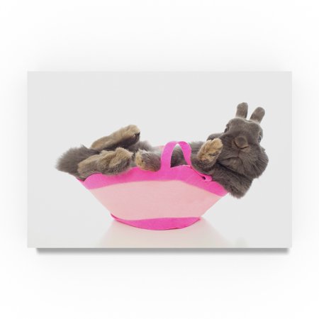 Trademark Fine Art Andrea Mascitti Puppies 'Rabbit In Basket' Canvas Art