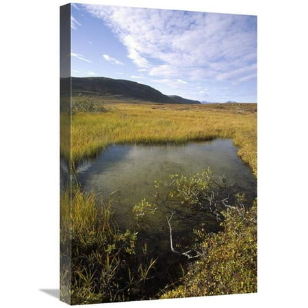 16 x 24 in. Tundra Bog in Autumn, Saglek Coast, Labrador Bay, Newfoundland, Canada Art Print - Tui De Roy