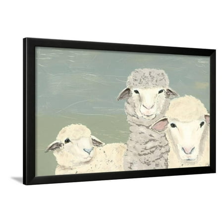 Bashful Sheep II Framed Print Wall Art By Jade Reynolds