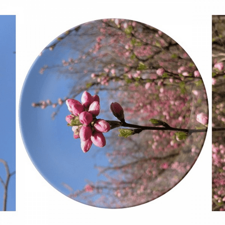 Spring Flower Bud Photography Plate Decorative Porcelain Salver Tableware Dinner Dish
Spring Flower Bud Photography Plate Decorative Porcelain Salver Tableware Dinner Dish
