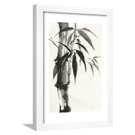 Sumi Bamboo Framed Print Wall Art By Chris Paschke