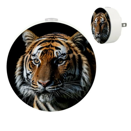 YZUOUZY Night Light Night Lights Small Lamps Set of 2 Feline Tiger Black Background
YZUOUZY Night Light Night Lights Small Lamps Set of 2 Feline Tiger Black Background