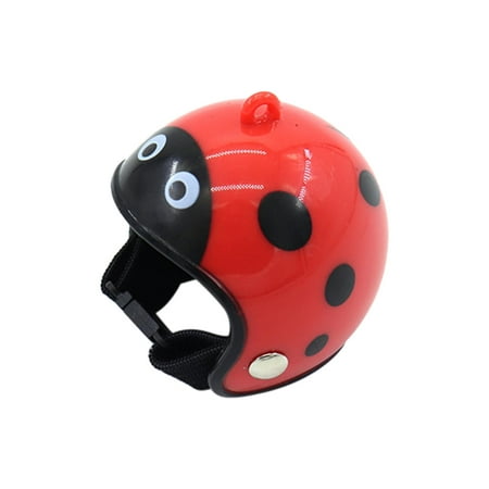 1PC Chicken Helmet PP Funny Premium Helmets Pet Supplies For Bird Hens Chick Pet