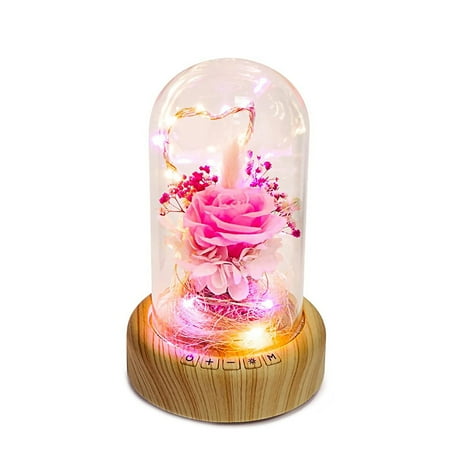 Real Preserved Rose In Glass Dome Preserved Rose Flower LED Light With Bluetooth Speaker Home Decoration
Real Preserved Rose In Glass Dome Preserved Rose Flower LED Light With Bluetooth Speaker Home Decoration