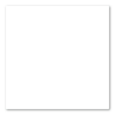 2-Pack Blank White Indoor Magnets
