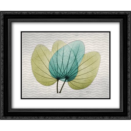 Citrus Orchid Tree 2x Matted 24x20 Black Ornate Framed Art Print by Koetsier, Albert