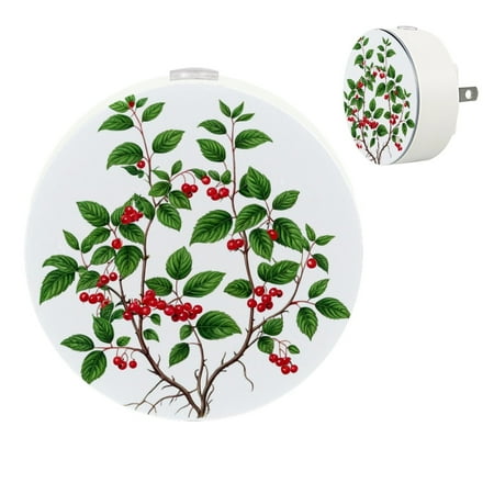 YZUOUZY Night Light Bedside Lamp Bedroom Lamps Set of 2 Hand Drawn Watercolor Autumn Cowberry
YZUOUZY Night Light Bedside Lamp Bedroom Lamps Set of 2 Hand Drawn Watercolor Autumn Cowberry