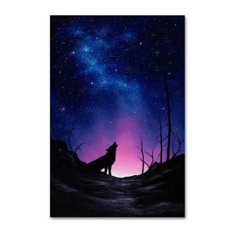 Trademark Fine Art Chuck Black 'Starry Nights' Canvas Art