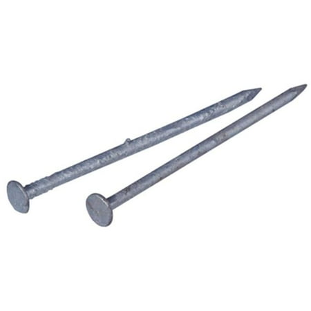 Hillman Fasteners 461282 2.5 in. 8D Galvanized Common Nail- 5 lbs.