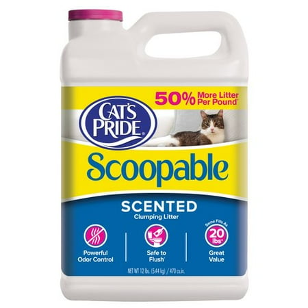 Scoopable Cat Litter Reviews Scoopable Cat Litter Reviews