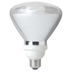 Replacement for WESTINGHOUSE 23CFLPAR38/41/AR replacement light bulb lamp