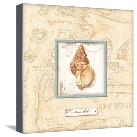 Sea Treasure I Stretched Canvas Print Wall Art By Charlene Audrey