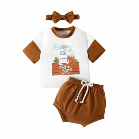Ecqkame Baby Outfits Clearance Baby Boys Girls Easter Lovely Embroidered Bunny Candy Color T-shirt Shorts Headband Suit Brown 18-24 Months
Ecqkame Baby Outfits Clearance Baby Boys Girls Easter Lovely Embroidered Bunny Candy Color T-shirt Shorts Headband Suit Brown 18-24 Months