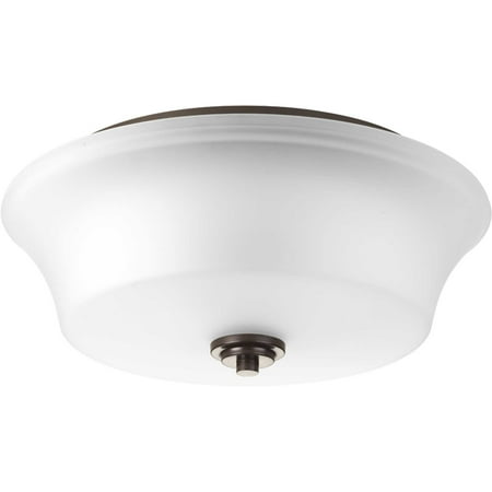 Cascadia Collection Two-Light 14 Flush Mount
Cascadia Collection Two-Light 14 Flush Mount