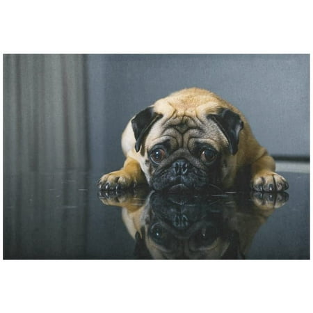 ECZJNT Cute Dog Placemat Plate Holder Set of 6 Sad Pug Table Mats Protector 12x18 inch 
ECZJNT Cute Dog Placemat Plate Holder Set of 6 Sad Pug Table Mats Protector 12x18 inch