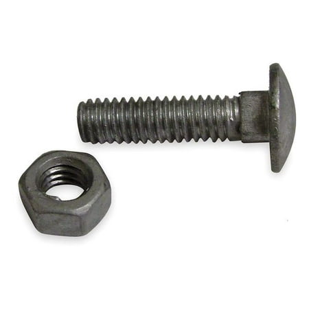 2PC ZoroSelect Carriage Bolts Steel 3/8 In Dia. PK10 Length: 2 in
