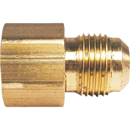 Do it 3-8 In. x 3-8 In. Brass Female Flare Adapter A-176 A-176 458748