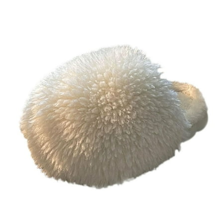 ZHAGHMIN Sandals Women Dressy Summer Slippers Shoes Manufacturer Sheep Flat Shoes Simple Women House Slippers Fashion Warm Shoes Fuzzy Womens Slippers Size 5 Satin Slippers Women S Slippers Women Si
ZHAGHMIN Sandals Women Dressy Summer Slippers Shoes Manufacturer Sheep Flat Shoes Simple Women House Slippers Fashion Warm Shoes Fuzzy Womens Slippers Size 5 Satin Slippers Women S Slippers Women Si