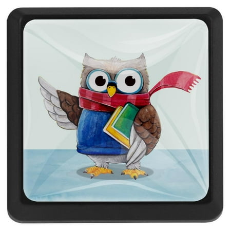 Ownta Square with Screws 3 Pcs for Cupboard Dressing Table Bookcase Drawer Pull Handle Cabinet Door Knobs Cute Owl with Scarf Books
Ownta Square with Screws 3 Pcs for Cupboard Dressing Table Bookcase Drawer Pull Handle Cabinet Door Knobs Cute Owl with Scarf Books