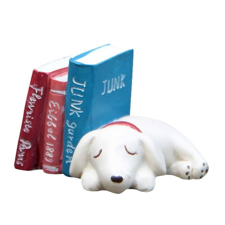 Big Ornament Grocery Puppy Book Succulent Fresh Flower Arrangement Decorative Ornament
Big Ornament Grocery Puppy Book Succulent Fresh Flower Arrangement Decorative Ornament