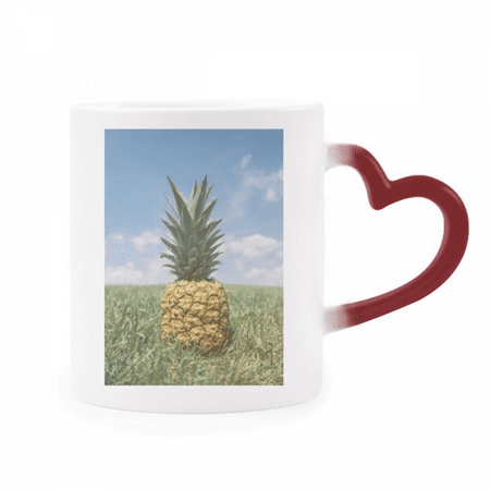 Fresh Tropical Fruit Pineapple Picture Heat Sensitive Mug Red Color Changing Stoneware Cup
Fresh Tropical Fruit Pineapple Picture Heat Sensitive Mug Red Color Changing Stoneware Cup