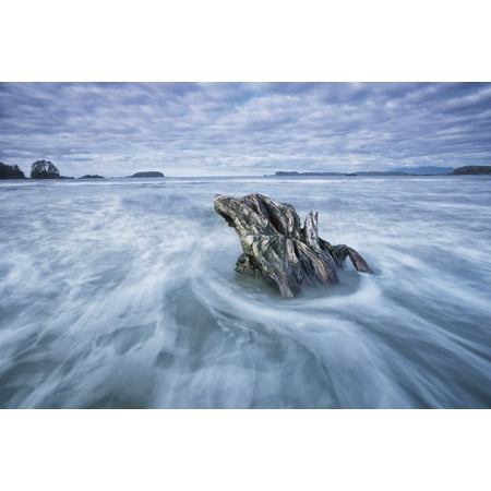 The tide coming in and flowing around a sunken piece of driftwood chesterman beachTofino vancouver island british columbia canada Canvas Art - Robert Postma Design Pics (19 x 12)